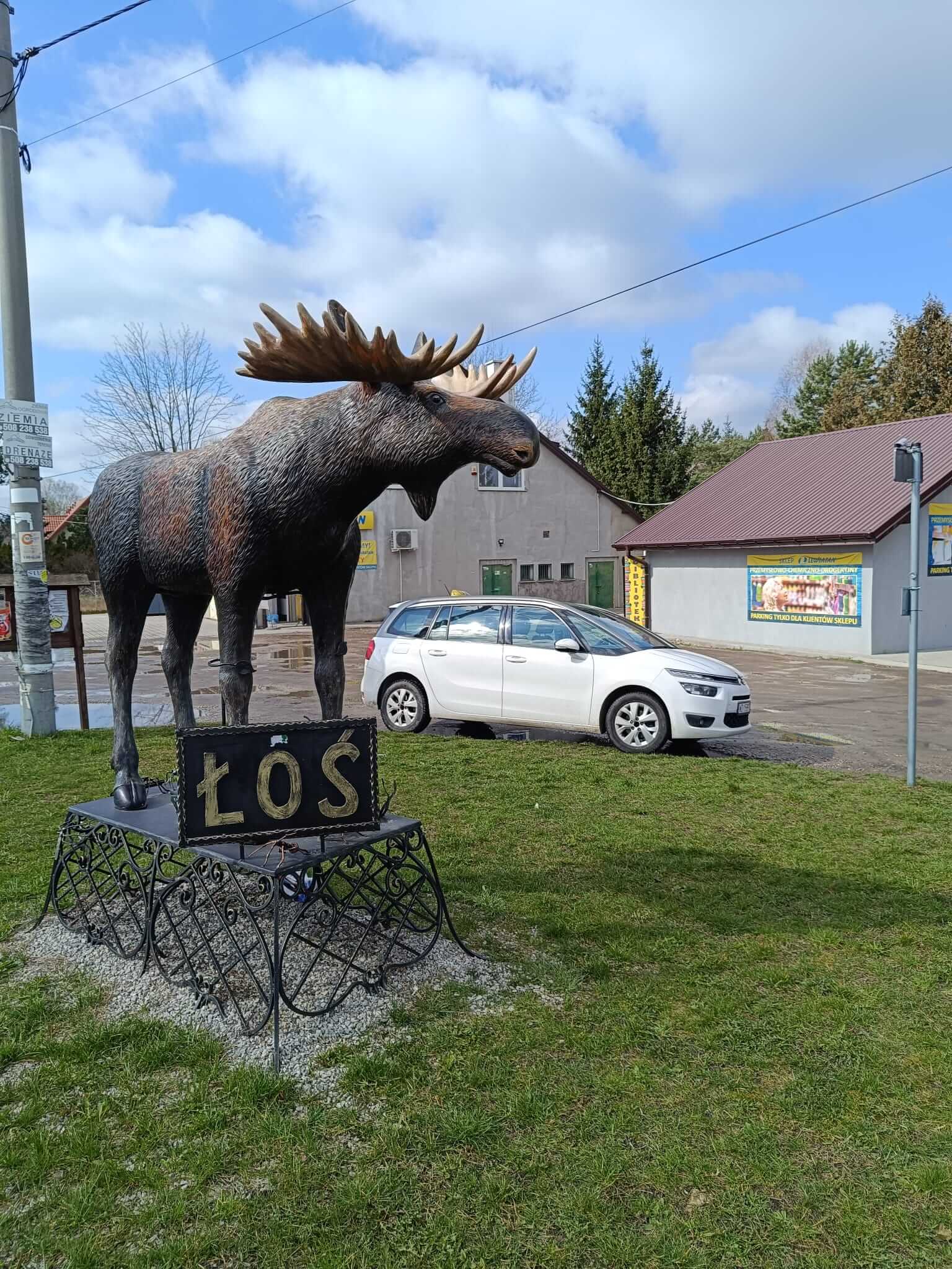 Taxi Góra Kalwaria - Samochód 6